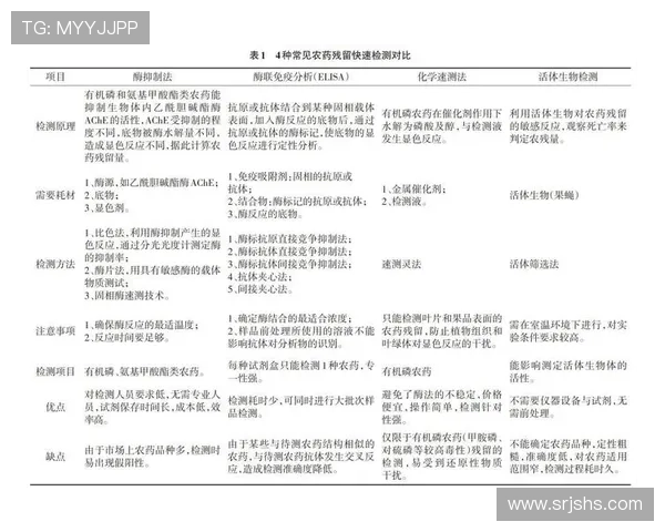 广州网球队的战术解析与控制体系的深度剖析与应用探讨