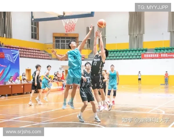 重庆排球队技术革新引发热议助力球队崛起与发展