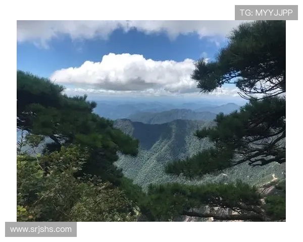 赛后分析：杭州羽毛球队与南京羽毛球队的战术意识与表现对比