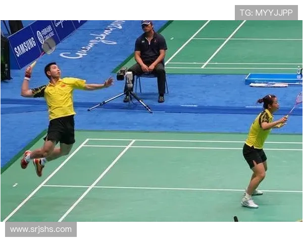 南京羽毛球队区域防守策略解析与深度剖析