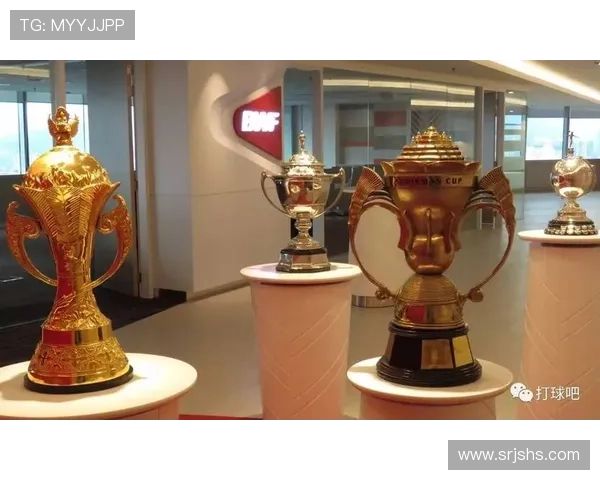 成都羽毛球队状态分析与未来发展展望探讨