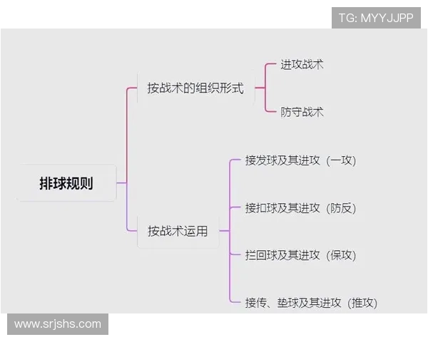 武汉排球队整体压制战术解析与实战应用探讨